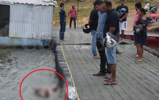 Adolescente é morto com mais de 60 facadas e assassino envia mensagem para mãe da vítima Adolescente é morto com mais de 60 facadas e assassino envia mensagem para mãe da vítima