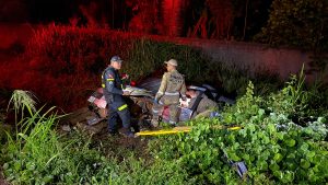 Fotos: Bariloche Silva | Portal Pebinha de Açúcar