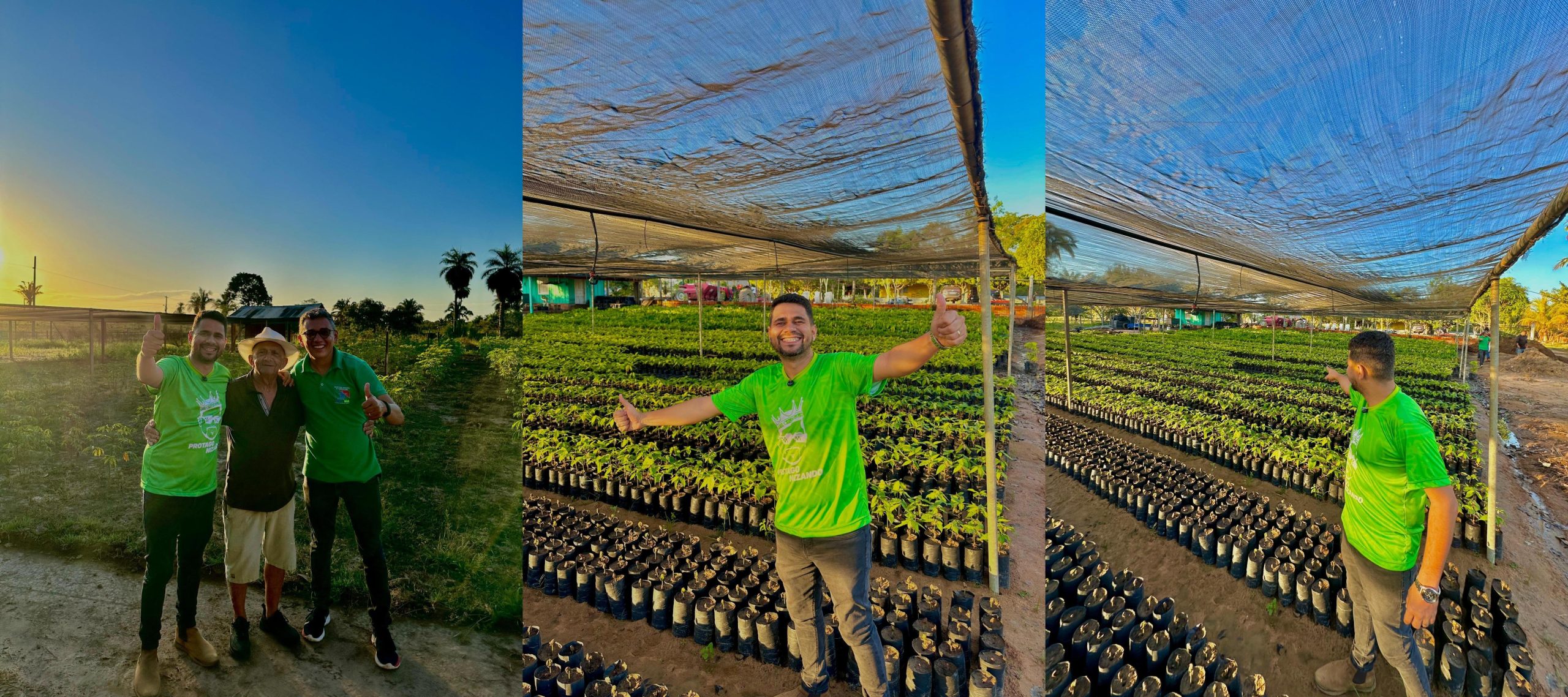 Itupiranga distribui mais de 360 mil mudas de cacau e impulsiona agricultura familiar