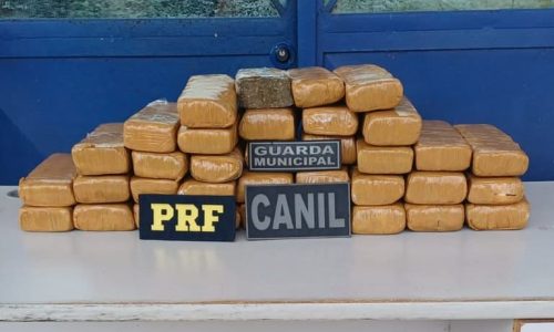 7a205e20-4947-4202-b68a-9d6ecd88d3f8