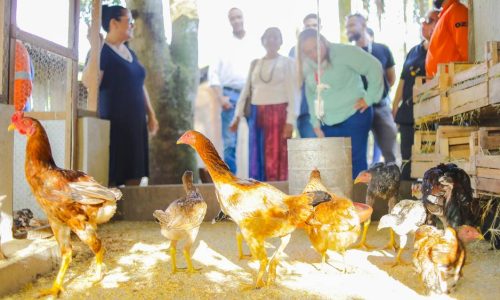 COOPFER - REUNIÃO (102)