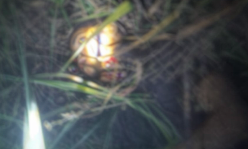 ChatGPT Image 13 de jan. de 2026, 14_20_06