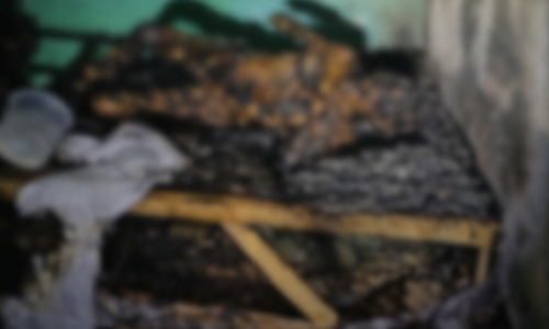 ChatGPT Image 2 de fev. de 2026, 13_38_03