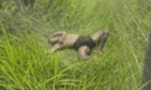 ChatGPT Image 9 de jan. de 2026, 17_12_34