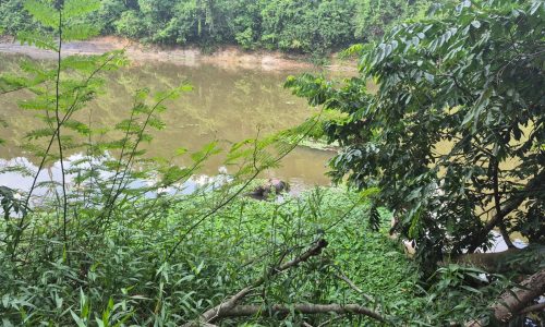 WhatsApp Image 2025-11-16 at 18.37.04