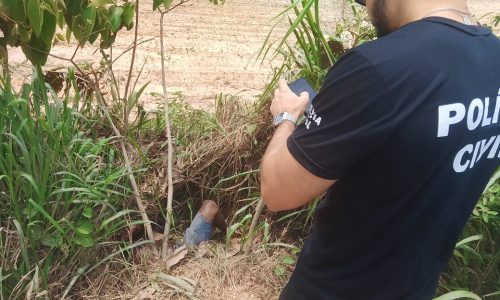 WhatsApp Image 2025-11-17 at 14.18.37