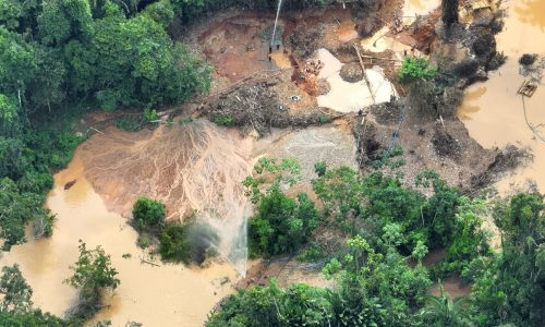 WhatsApp Image 2026-02-21 at 10.00.26