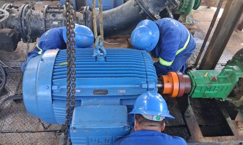 WhatsApp Image 2026-02-22 at 19.56.22