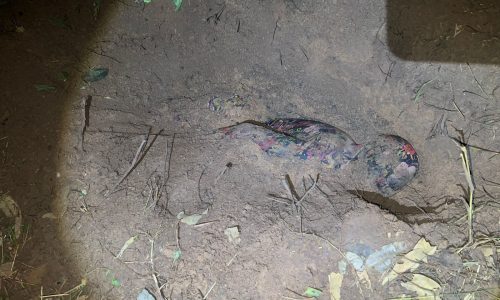 WhatsApp Image 2026-02-23 at 05.56.23