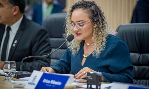 erica-ribeiro-pede-continuidade-e-ampliacao-do-programa-gira-renda-em-parauapebas-b10de