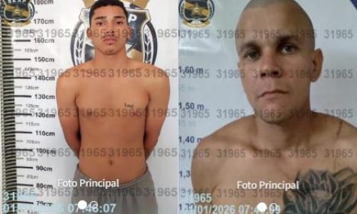 fotos_horizontal (4)